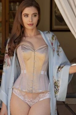 Champagne Undertone Mesh Corset 13 Champagne Undertone Mesh Corset -Corset Story WTS903 2 e4f543f8 edfa 43f1 bbc3 16c8c8ae8576