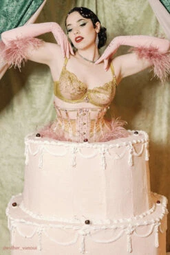 Historically Inspired Peach And Gold Underbust Corset 20 Historically Inspired Peach And Gold Underbust Corset -Corset Story wts925 esther vanoui